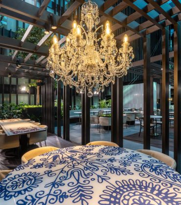 dorothea (8) dorothea (8)