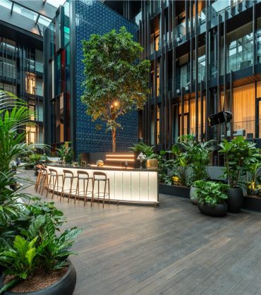 dorottya (2) dorottya (2)